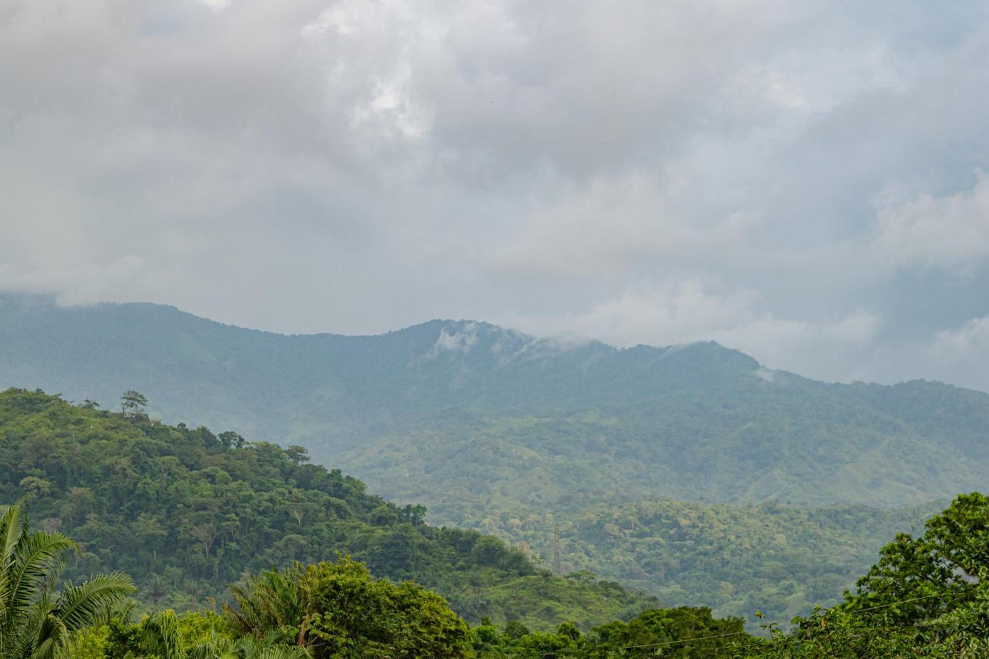 Cabana Mirador Del Bosque, Sector Parque Tayrona 圣玛尔塔 外观 照片